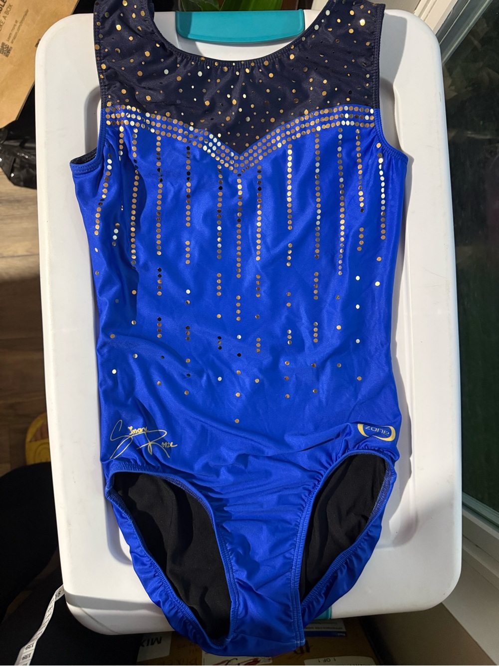 Adult Large Simone Rose Ozone Leotard